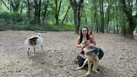 Protectora de Lugo Protectora de Lugo