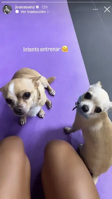 Joana Sanz Joana Sanz