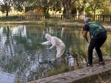Fallece una niña de 9 años por caer a un estanque en Archivel, Murcia