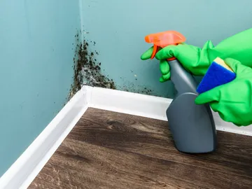 Limpiando la pared Limpiando la pared