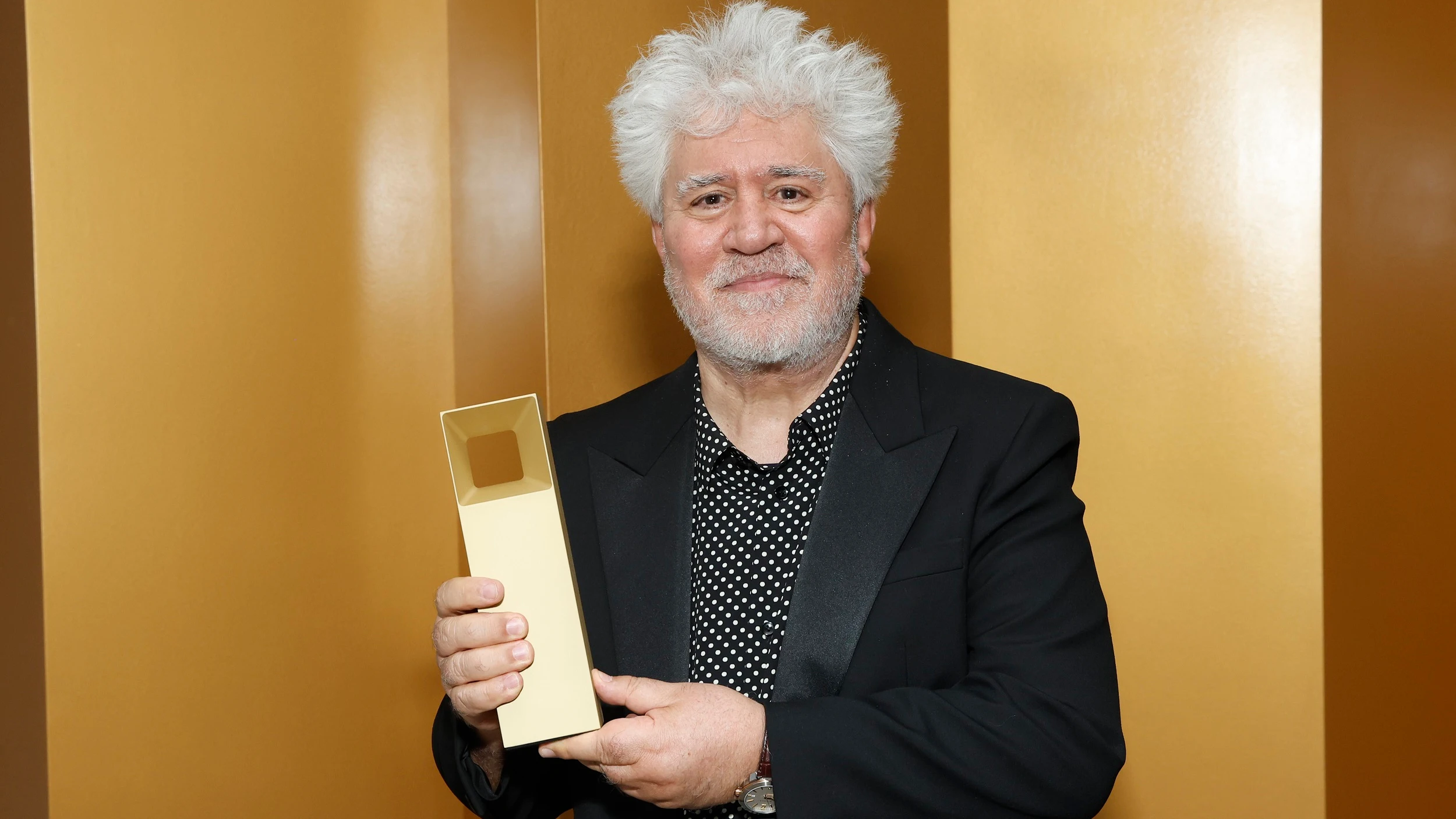 Pedro Almodóvar, premiado en el Festival de Cine de Toronto (TIFF) Pedro Almodóvar, premiado en el Festival de Cine de Toronto (TIFF)