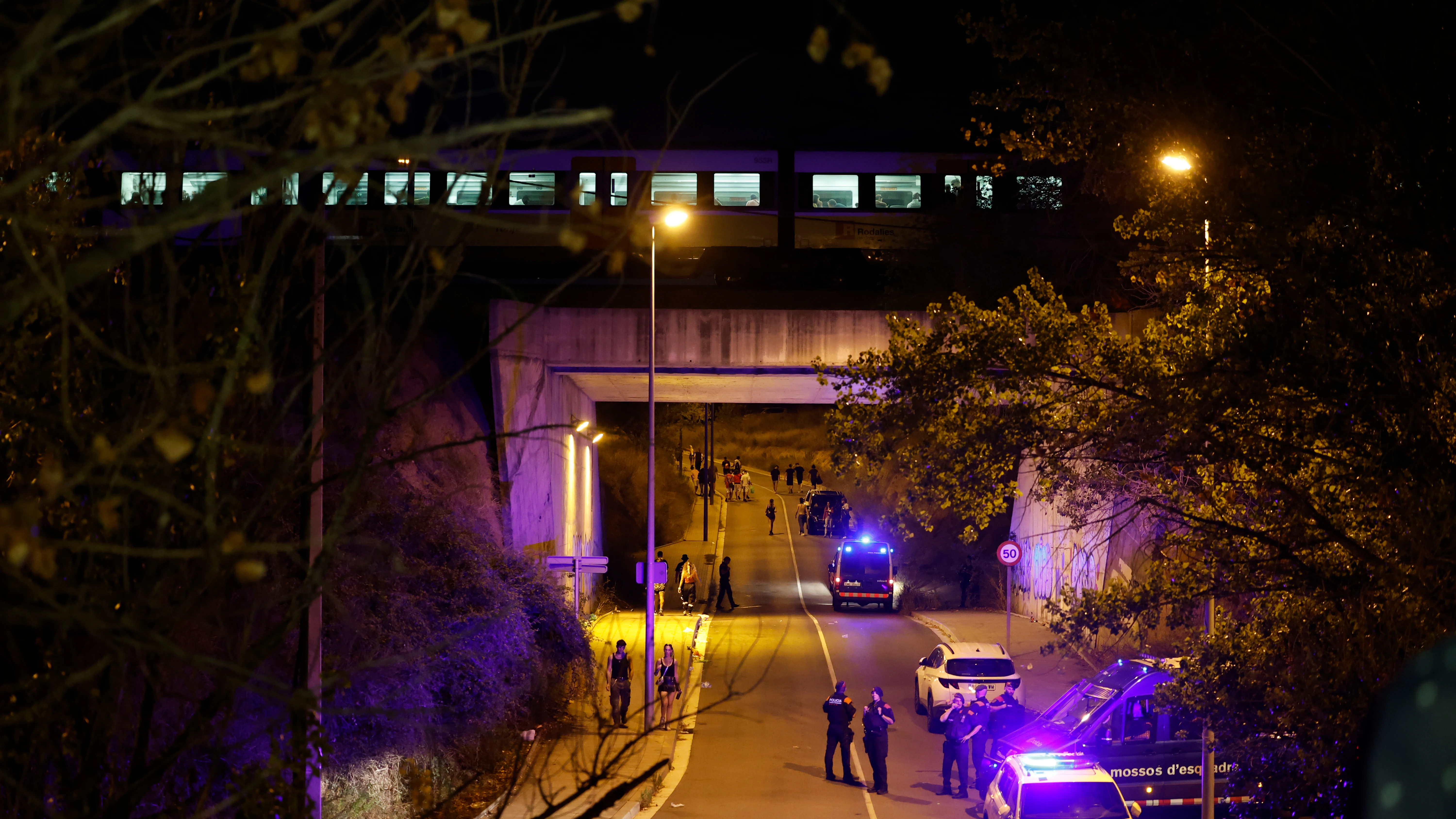 Tren paso en altura Tren paso en altura
