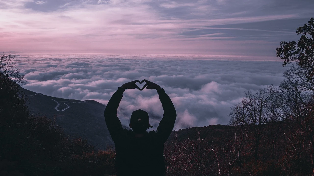 Día Mundial del corazón Día Mundial del corazón