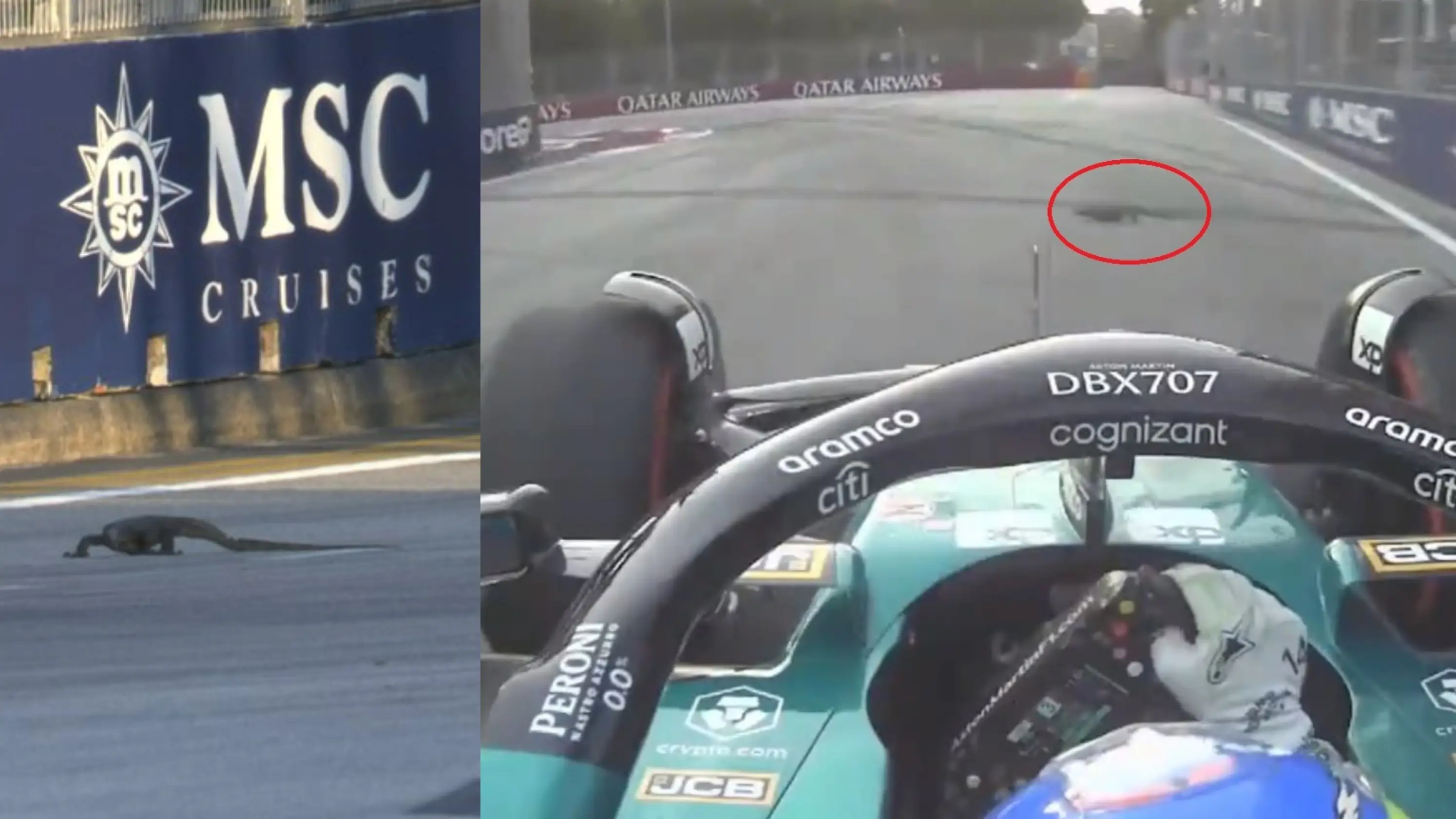 Fernando Alonso, en el momento de atropellar un lagarto en Marina Bay Fernando Alonso, en el momento de atropellar un lagarto en Marina Bay