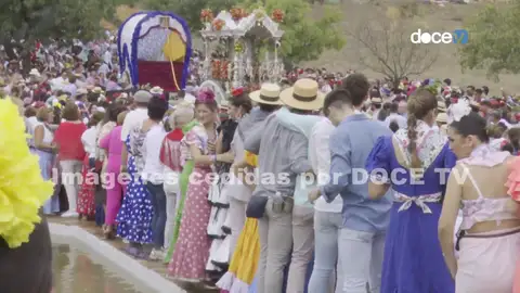 El momento en el que un hombre es arrollado mortalmente por bueyes en la romería de El Viso, en Sevilla El momento en el que un hombre es arrollado mortalmente por bueyes en la romería de El Viso, en Sevilla