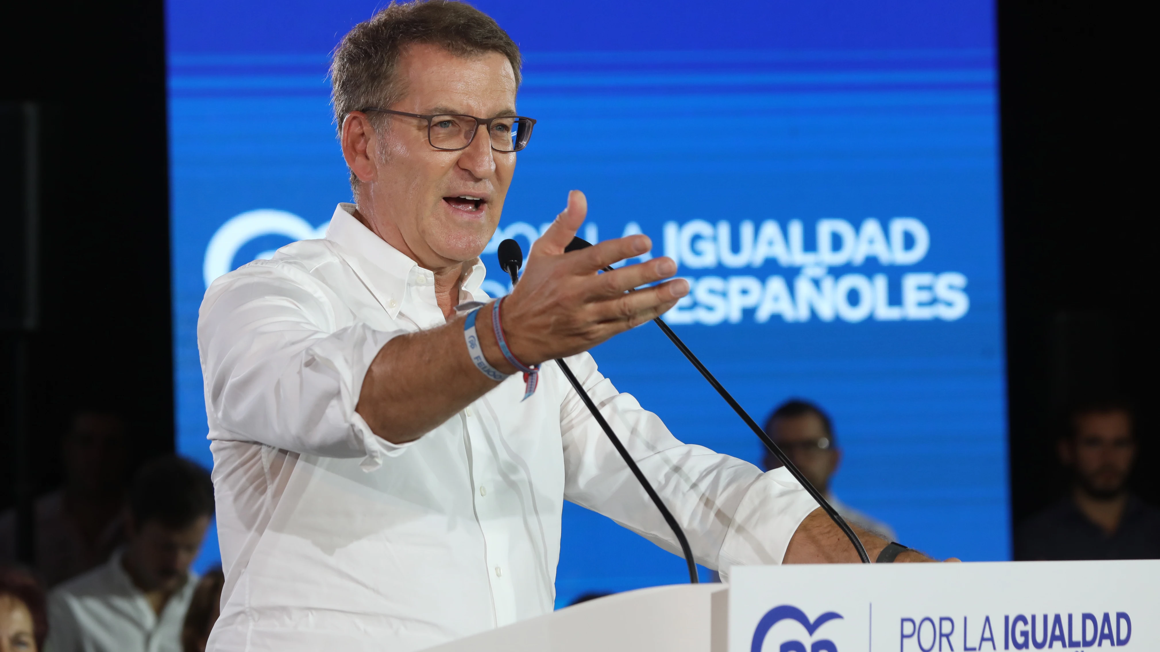 El líder del PP, Alberto Núñez Feijóo El líder del PP, Alberto Núñez Feijóo