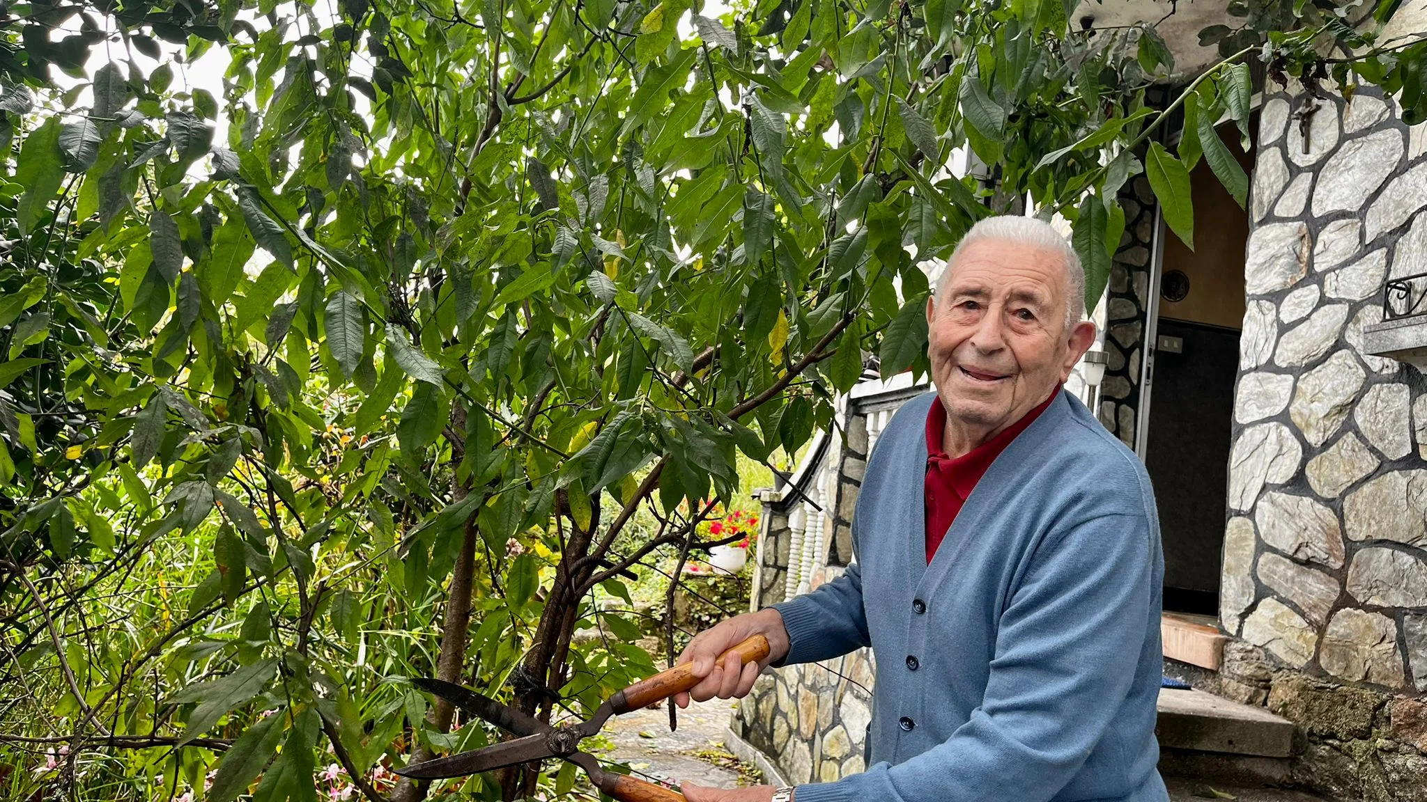 Joaquín, el abuelo jardinero más longevo de Tui Joaquín, el abuelo jardinero más longevo de Tui