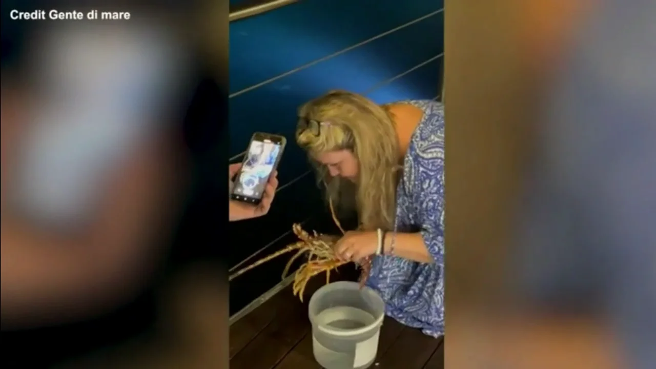 Compra una langosta en un restaurante y la libera