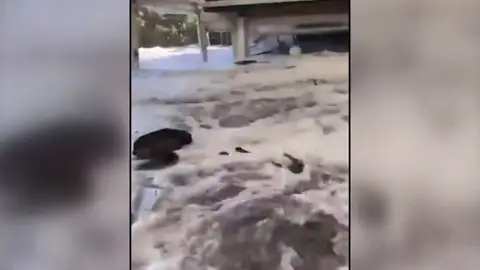 Imagen de la ola en Sudáfrica Imagen de la ola en Sudáfrica