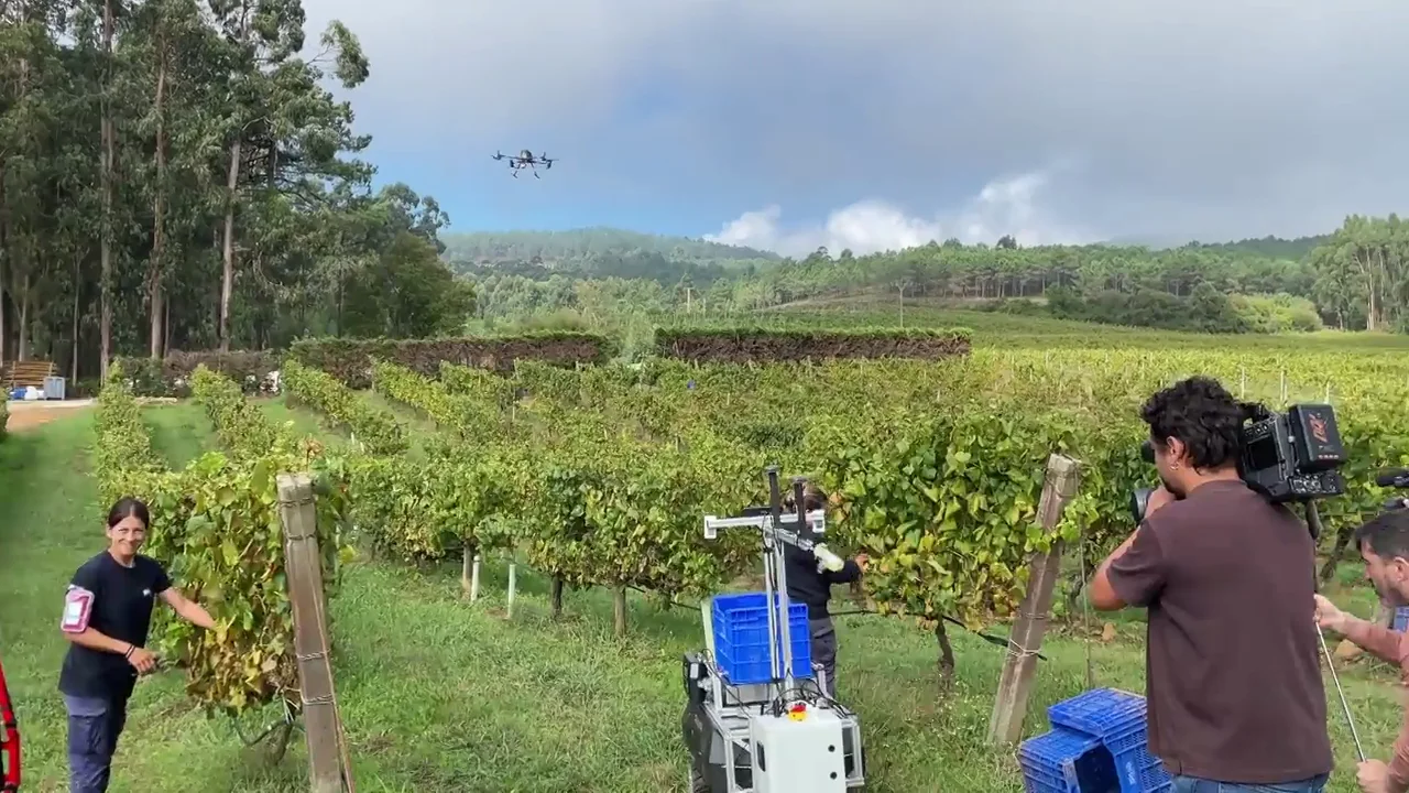 Drones para mejorar la vendimia en Galicia Drones para mejorar la vendimia en Galicia