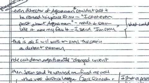 Las notas de la terapeuta de Amber Heard