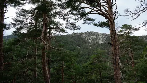 Navacerrada Navacerrada