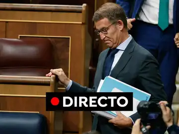 Alberto Núñez Feijóo durante la investidura en el Congreso de los Diputados hoy Alberto Núñez Feijóo durante la investidura en el Congreso de los Diputados hoy
