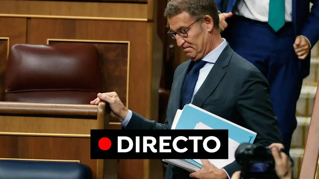 Alberto Núñez Feijóo durante la investidura en el Congreso de los Diputados hoy Alberto Núñez Feijóo durante la investidura en el Congreso de los Diputados hoy