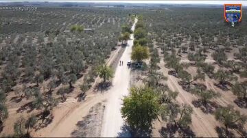 Vigilancia con drone