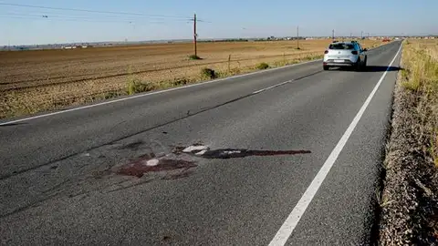 Lugar del atropello mortal Lugar del atropello mortal