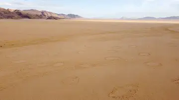 Círculos de hadas en una llanura de Namibia
