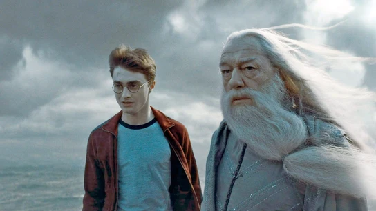 Harry Potter y Dumbledore Harry Potter y Dumbledore