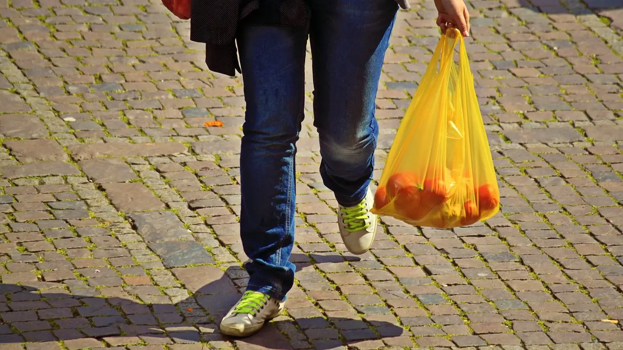Persona con bolsa de la compra Persona con bolsa de la compra