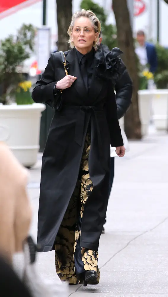 Sharon Stone en Nueva York