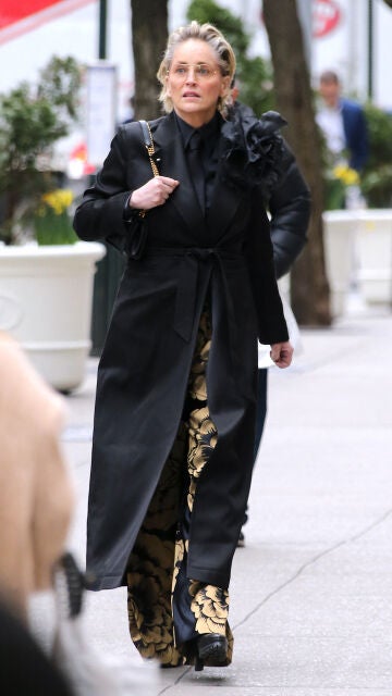 Sharon Stone en Nueva York
