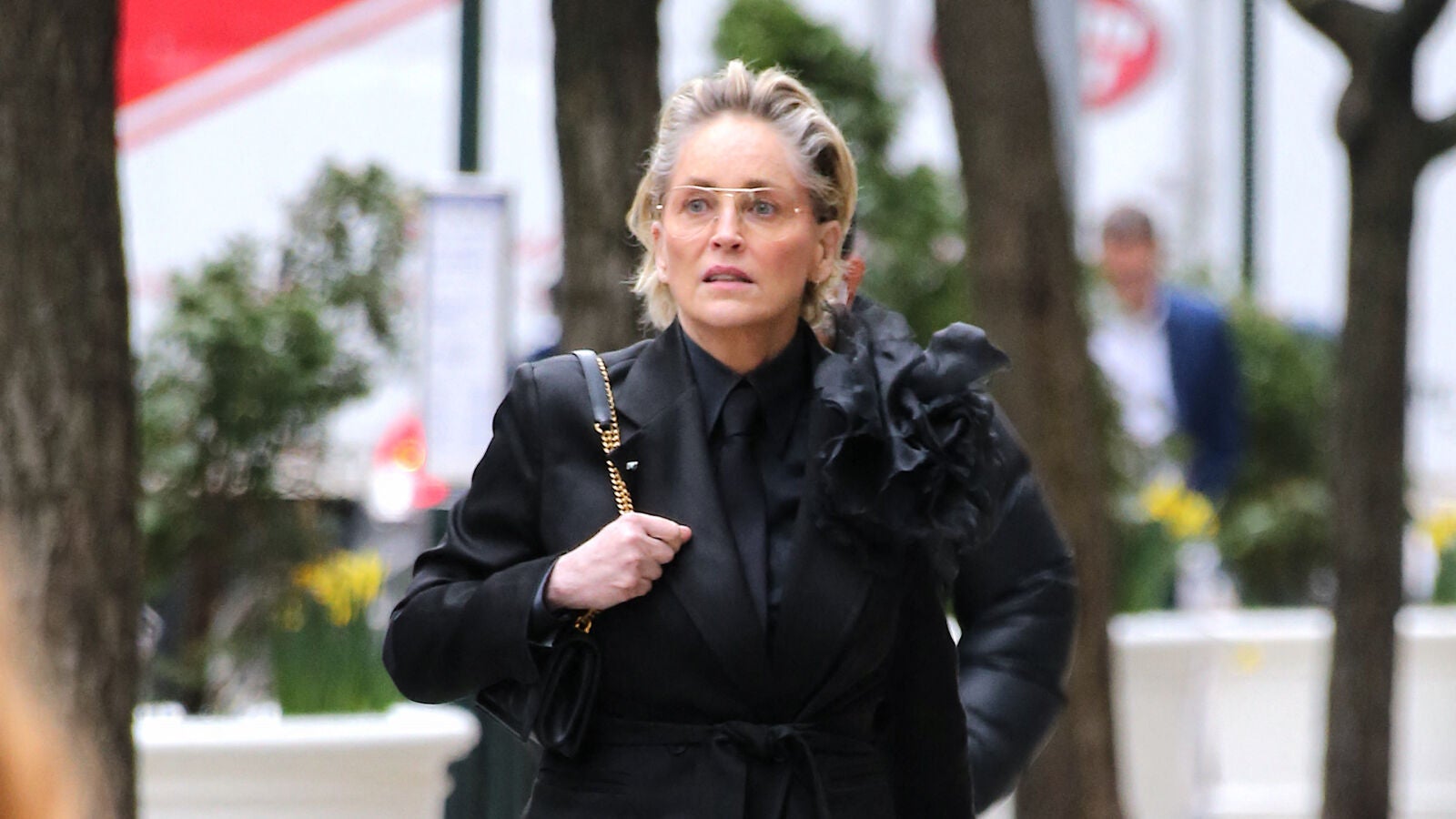 Sharon Stone revela que desciende de la realeza pero creció en la pobreza absoluta