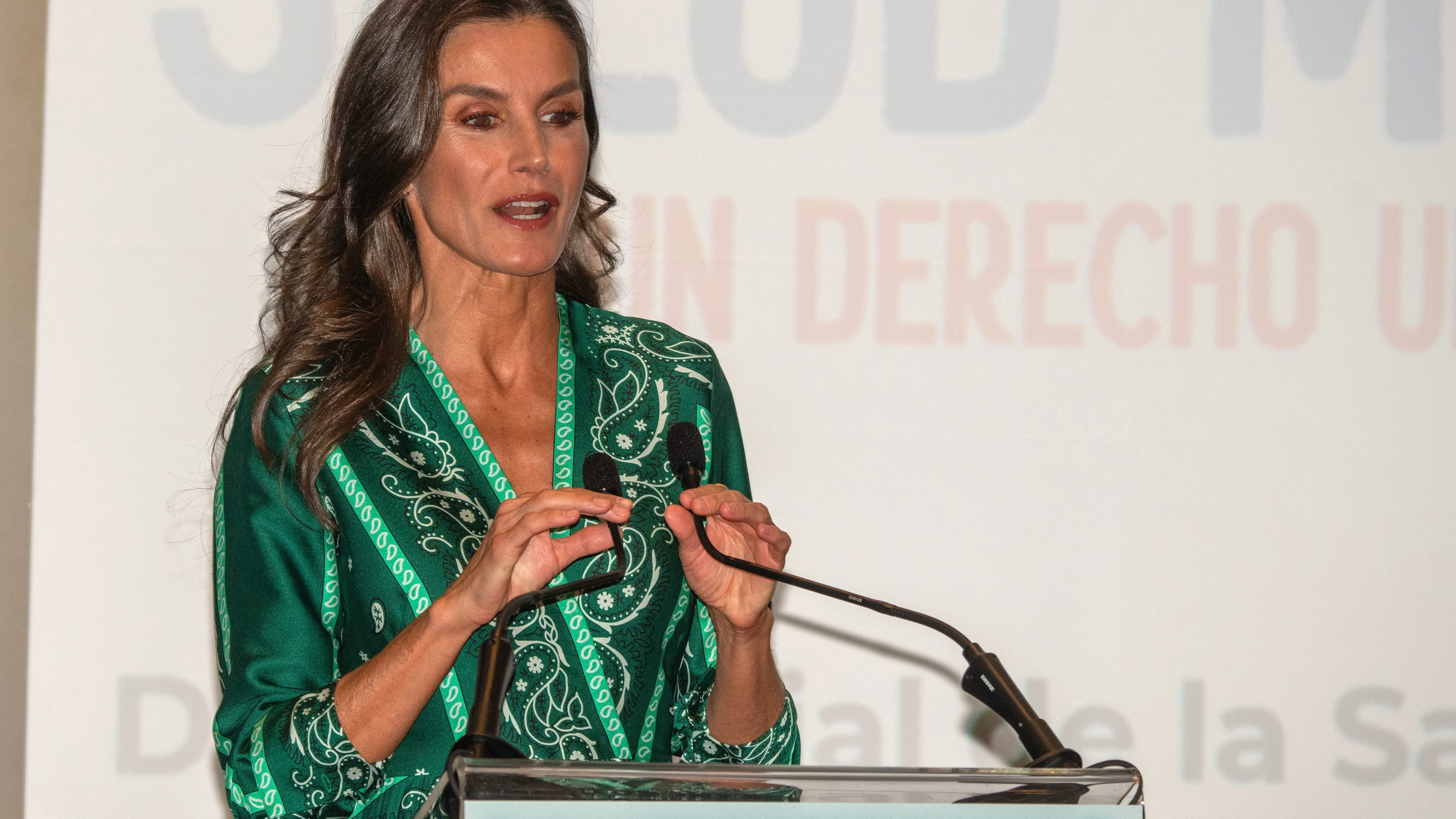 La Reina Letizia en el acto institucional del 'Día Mundial de la salud mental 2023' La Reina Letizia en el acto institucional del 'Día Mundial de la salud mental 2023'
