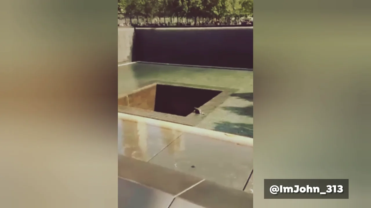 Un hombre se lanza al Memorial del 11S en Nueva York "por su padre"