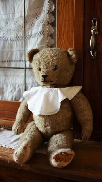 Oso de peluche Oso de peluche