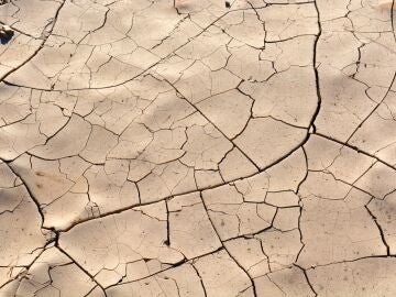 Tierra seca agrietada