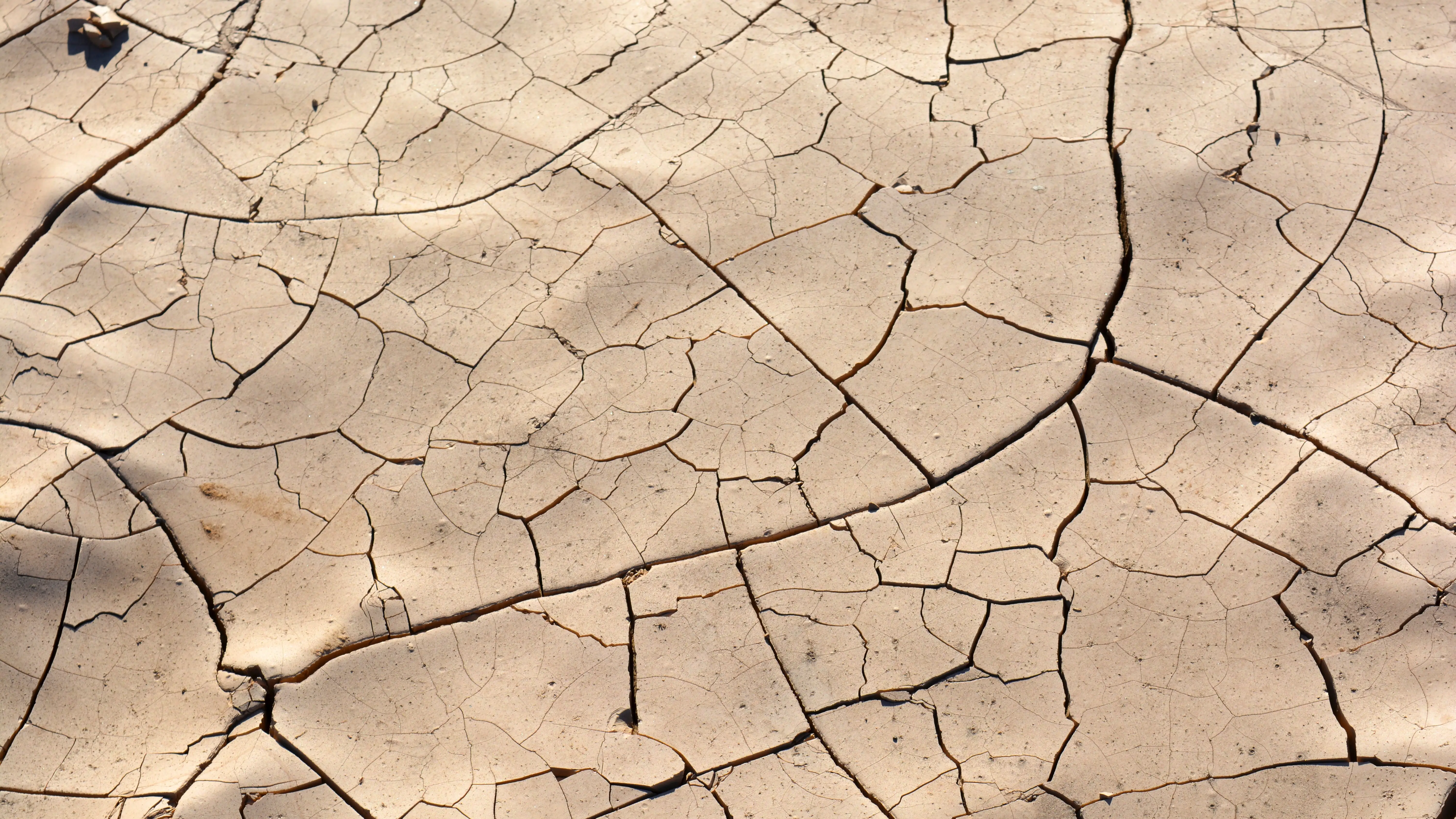 Tierra seca agrietada