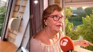 María Luisa, la autora del vídeo viral de la caída de una palmera por la borrasca Aline: 