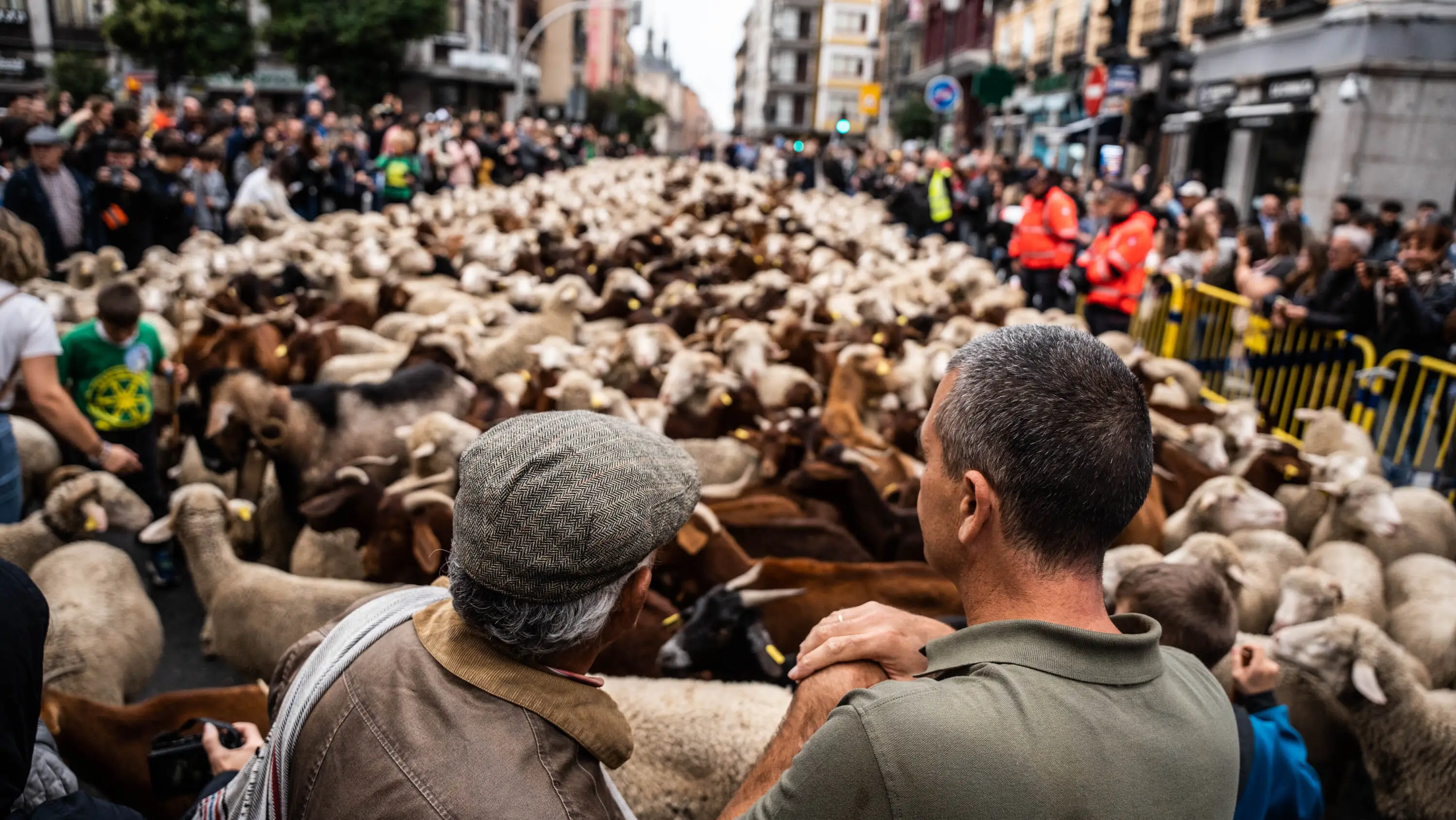 Imagen de la Fiesta de la Trashumancia de Madrid de 2023