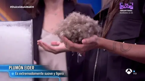 El plumón de Eider El plumón de Eider