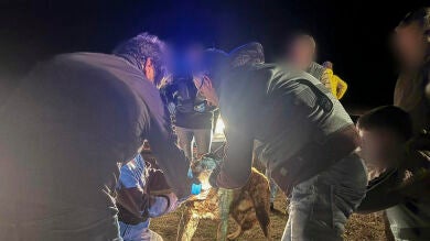 Buscan a uno de los perros del ataque a la joven en Zamora mientras que el dueño queda en libertad