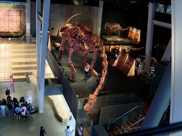Exposición 'Dinosaurios de la Patagonia' en el CosmoCaixa de Barcelona