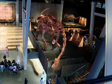 Exposición 'Dinosaurios de la Patagonia' en el CosmoCaixa de Barcelona Exposición 'Dinosaurios de la Patagonia' en el CosmoCaixa de Barcelona