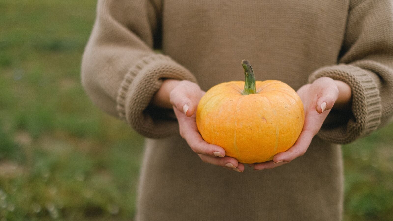 La calabaza no solo se come: Estos son sus beneficios para la piel 