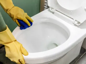 Váter limpio Váter limpio