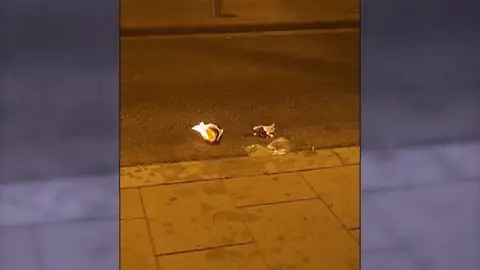 Viven en un infierno de edificio por un vecino conflictivo: "De noche escuchamos gritos a su madre de 90 años, le pega" Viven en un infierno de edificio por un vecino conflictivo: "De noche escuchamos gritos a su madre de 90 años, le pega"