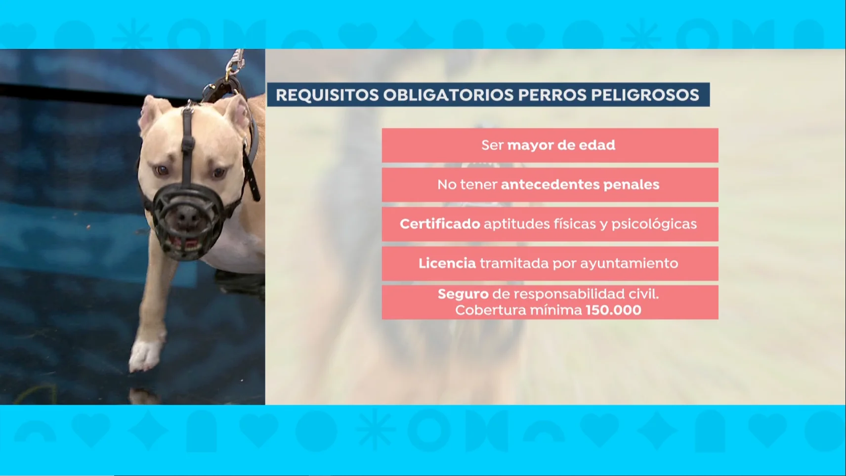 Ataques de perros recientes