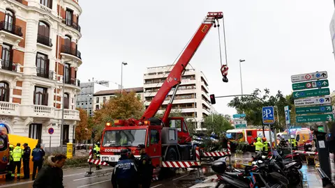 Una joven de 23 años muere en Madrid tras caerle un árbol