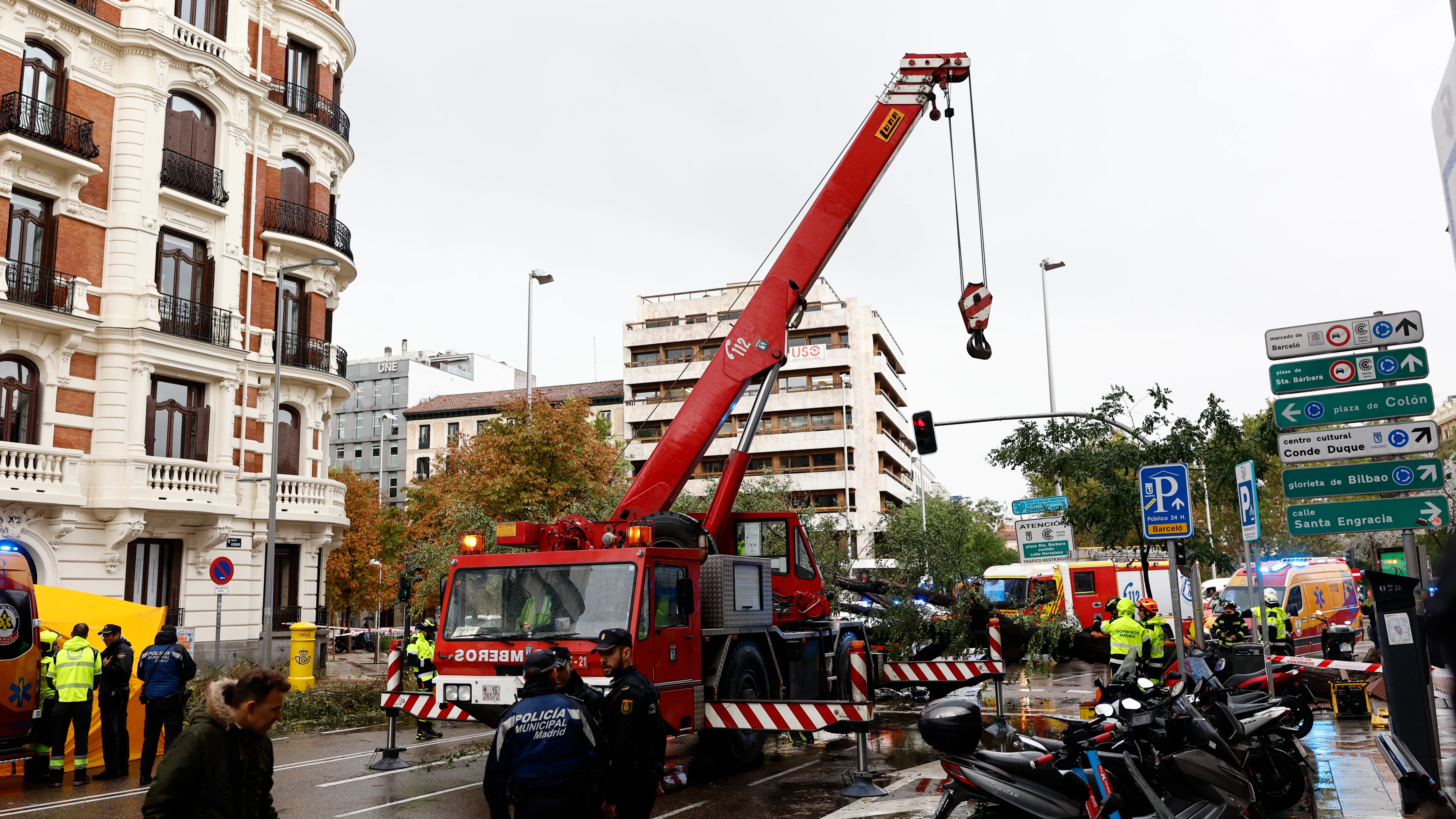 Una joven de 23 a&ntilde;os muere en Madrid tras caerle un &aacute;rbol