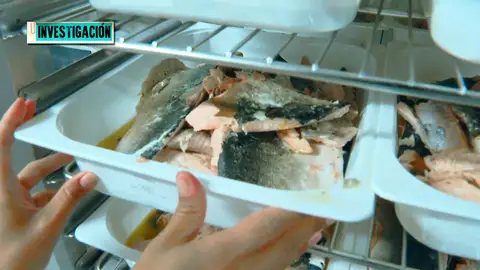 La realidad de los comedores escolares en España: ¿Qué calidad tienen los alimentos que comen nuestros hijos? La realidad de los comedores escolares en España: ¿Qué calidad tienen los alimentos que comen nuestros hijos?