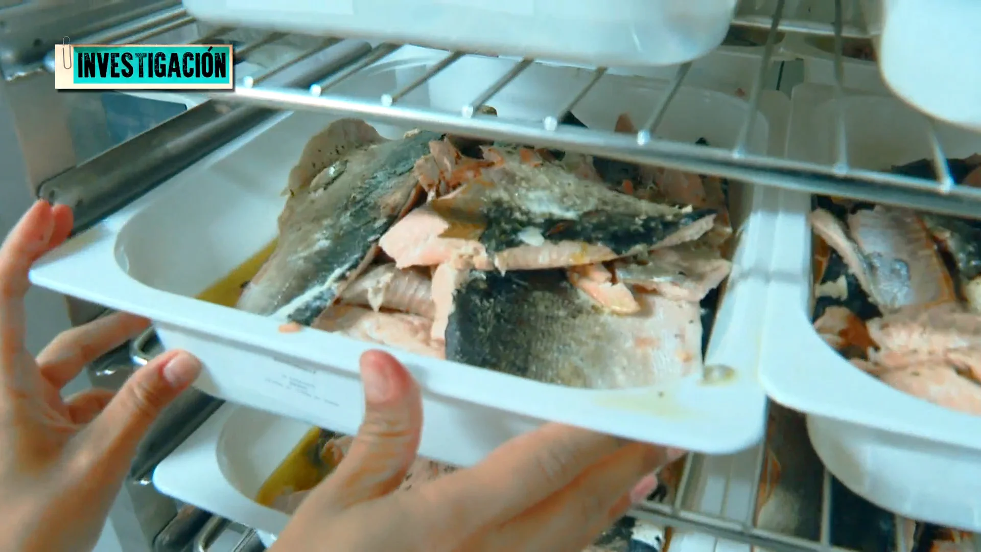 La realidad de los comedores escolares en España: ¿Qué calidad tienen los alimentos que comen nuestros hijos? La realidad de los comedores escolares en España: ¿Qué calidad tienen los alimentos que comen nuestros hijos?