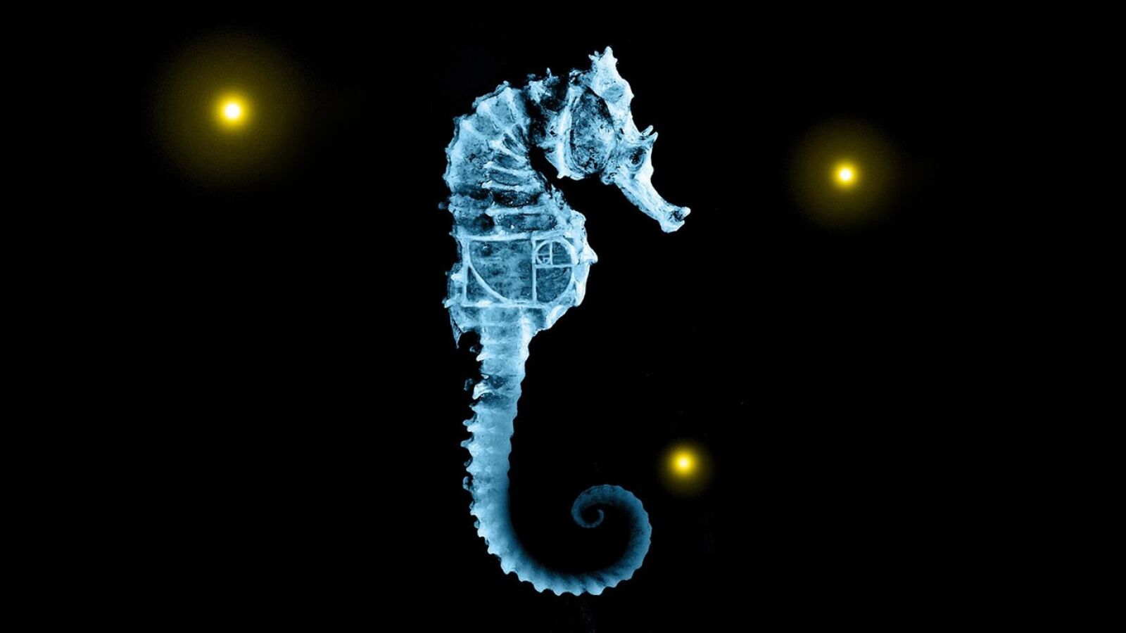 Tiene 5 temporadas, ha llegado a Amazon Prime Video y es una de las mejores series de ciencia ficción que puedes ver