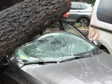 Un árbol destroza un coche Un árbol destroza un coche