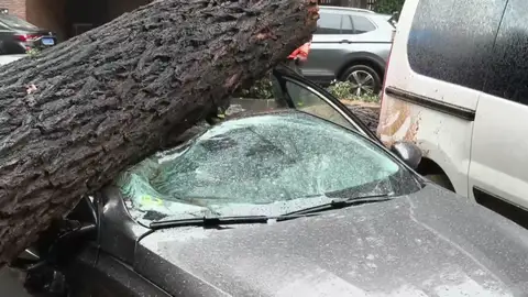 Un árbol destroza un coche Un árbol destroza un coche