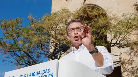 El líder del PP, Alberto Núñez Feijóo El líder del PP, Alberto Núñez Feijóo