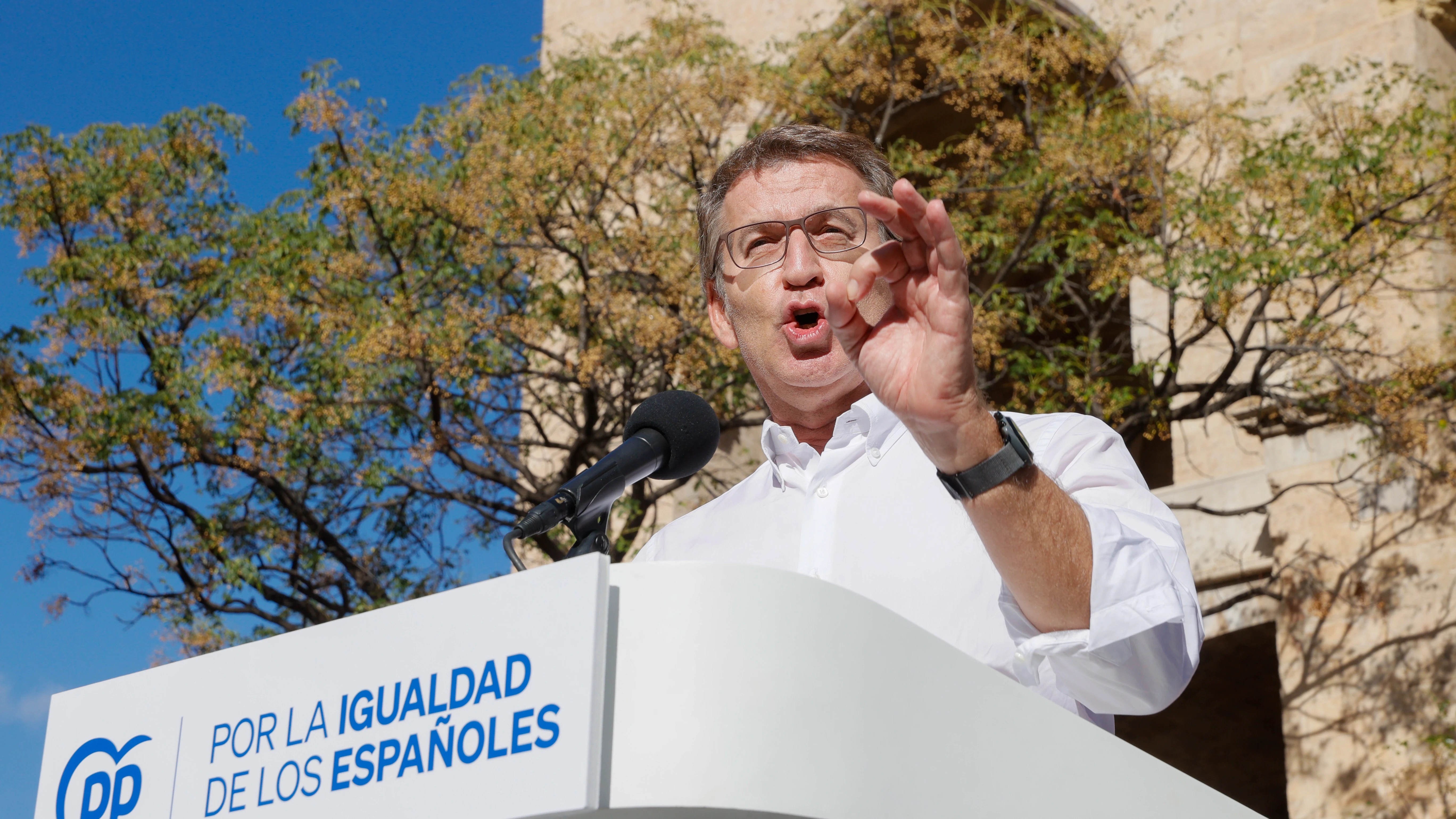 El líder del PP, Alberto Núñez Feijóo El líder del PP, Alberto Núñez Feijóo